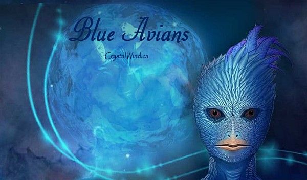 The Blue Avians